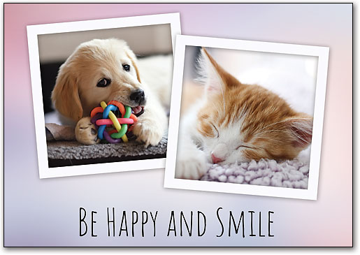 リコールカード　スタンダード　Ｒ７０２ by SmartPractice