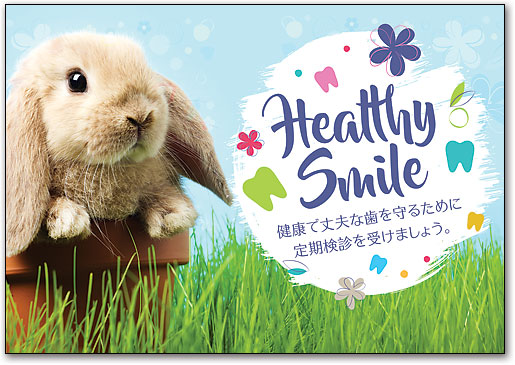 リコールカード　スタンダード　Ｒ７２３ by SmartPractice