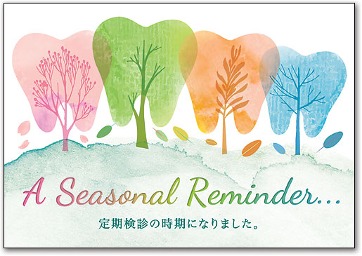 リコールカード　スタンダード　Ｒ７２４ by SmartPractice