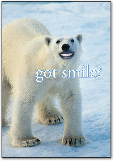 リコールカード　スタンダード　Ｒ７４３ by SmartPractice