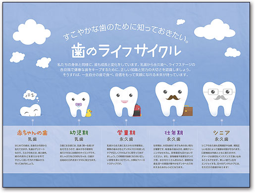 ポスターアート　歯のライフサイクル　ブルー by SmartPractice
