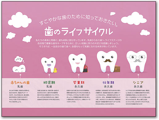 ポスターアート　歯のライフサイクル　ピンク by SmartPractice