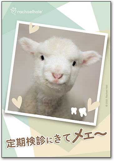 リコールカード　スタンダード　Ｒ７４5 by SmartPractice